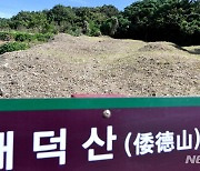 '명량해전 전몰 일본수군' 묻힌 왜덕산