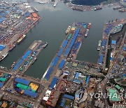 인천 내항 '화물선 폭발'로 선장 사망..6300톤급 배