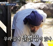 '살림남2' 김봉곤, 집안 말벌떼 발견→119 출동..전혜란 쏘였다
