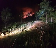 전남 해남에서 야간 산불..3시간여만에 진화