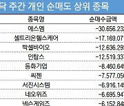 코스닥 주간 개인 순매도 1위 '에스엠'