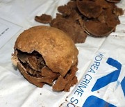 옛 광주교도소 발굴 유골, 5·18 행방불명자 DNA와 일치..'암매장 첫 확인'