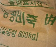 정부, 쌀 45만 톤 매입 후 시장 격리..쌀값 안정화 대책