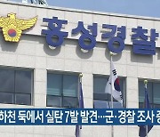 홍성 하천 둑에서 실탄 7발 발견..군·경찰 조사 중