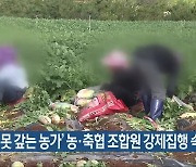 '빚 못 갚는 농가' 농·축협 조합원 강제집행 속출