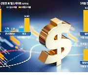 '킹달러'에 美 투자매력 쑥쑥..헬스케어·필수소비재株 '찜'