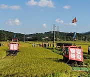 Rice prices to be propped up by government intervention