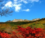 내장산국립공원, 11월까지 '서래봉' 구간 탐방로 예약제