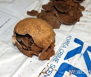 옛 광주교도소서 발견된 유골 중 5·18 행방불명자 확인