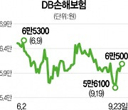 금리 인상기 '강세'..손보株 눈에 띄네