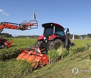 [연합시론] 쌀값 폭락에 대규모 시장 격리 나선 정부, 근본 대책도 고민해야