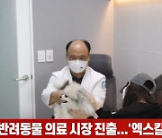 (영상)SKT, 반려동물 의료시장 진출..'엑스칼리버' 선봬