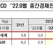 OECD, 올해 韓 소비자물가 상승률 5.2% 전망..기존 대비 0.4%P 상향