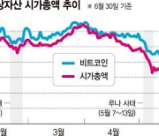 상반기 가상자산 시총 23조.. 6개월만에 반토막 났다