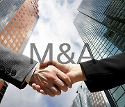 삼성도 M&A 가세..반도체 업계 '빅딜'에 시선집중