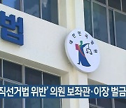 '공직선거법 위반' 의원 보좌관·이장 벌금형