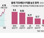 '3高' 찬바람 분다..9%대 배당수익 노려볼까