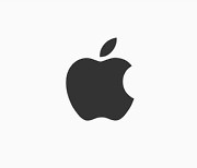 애플 아이폰 14, 인도서 조립 공식 발표