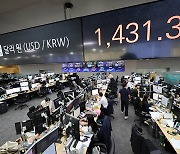 Korean currency and stocks crash despite slew of actions to prop up KRW value