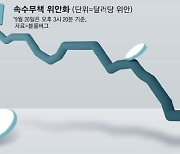 中 4년만에 외환시장 개입..아시아 '환율전쟁' 회오리