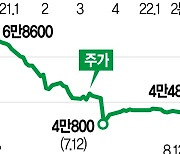 DB하이텍 물적분할 검토 중단..시외 7% 급등