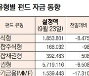 [데이터로 보는 증시]유형별 펀드 자금 동향( 9월 23일)