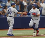 Blue Jays Rays Baseball