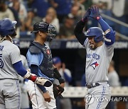 Blue Jays Rays Baseball