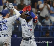 Blue Jays Rays Baseball