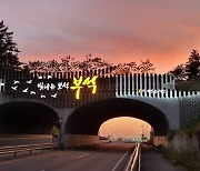 [서산소식] 부석면 생태터널에 관광자원 알리는 입체 안내판