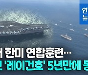 [영상] 한미 동해서 고강도 연합훈련..핵항모 '레이건호' 투입