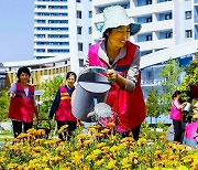 '송화 거리' 단장하는 북한 화초사업소 종업원들