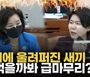 [영상] '尹대통령 발언 논란' 운영위 충돌.."오보"vs"언론과 전쟁"