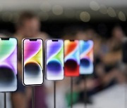 애플, 아이폰14 인도 생산 공식 발표..외신 "예상보다 일정 당겨져"