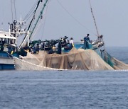 '금어기는 중복 규제' 어업인 목소리 정책에 담는다