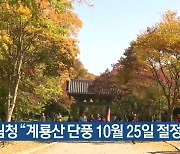 산림청 "계룡산 단풍 10월 25일 절정"