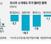 자사주 매입·소각 두배 늘었지만.."약발 없네"