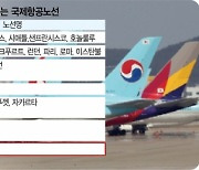 [단독]'운임 상한선' 다시 책정..국제 항공료 인상 막는다