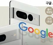 [단독] 직구 안해도 될까..구글폰, 첫 韓 판매 추진