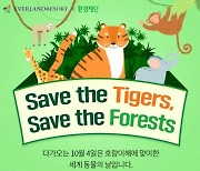 에버랜드, '세계 동물의 날' 맞아 호랑이 보전 캠페인 개최