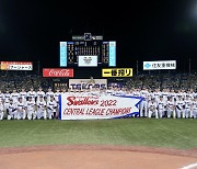 일본 야구 야쿠르트 주장, 축승회 인사서 한국말로 "사랑해요"