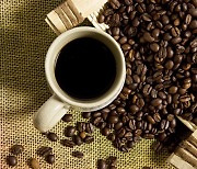 커피 3종의 건강 효과 서열은?
