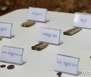 의왕 모락산 유해발굴 현장에서 발굴된 탄피와 단추