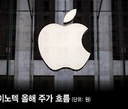 '애플 쇼크'에 아이폰 부품株 급락..LG이노텍, 나흘간 20% '뚝'