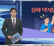[그래픽뉴스] 심야 택시난 해소 방안