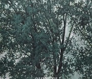 [e갤러리] 나무 몇그루 짊어지고 하산..이현호 '나무, 나무'