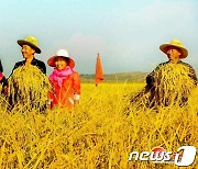 가을 수확철 맞은 북한..새 농기계로 가을걷이 박차