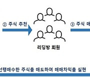 자본시장특사경, '1호 수사사건' 주식리딩방 운영자 검찰 송치