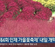 '제4회 인제 가을꽃축제' 내일 개막