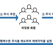 "선행매매로 2억원 부당이득" 주식리딩방 운영자 송치